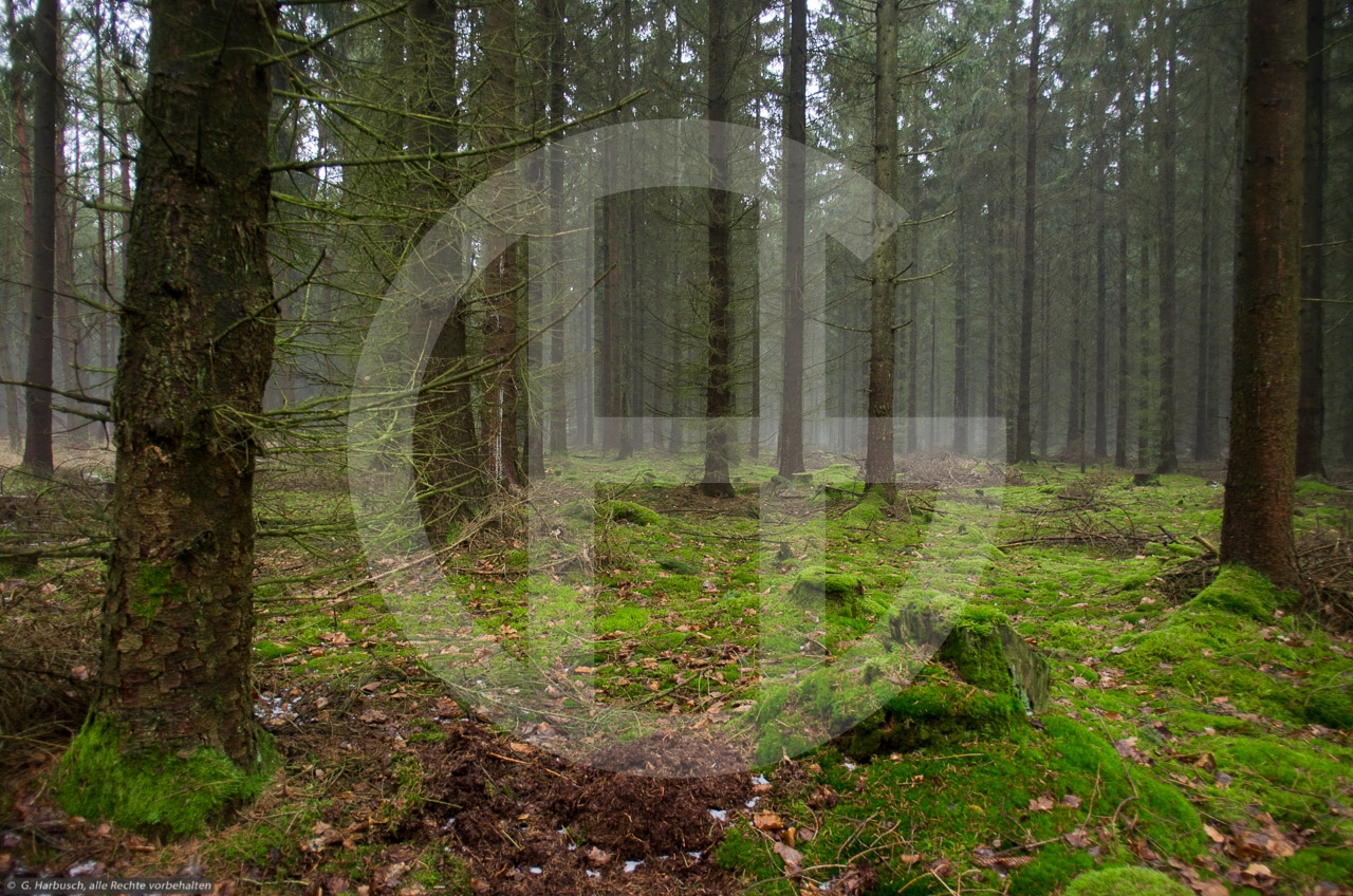 Galerie «Landschaft»